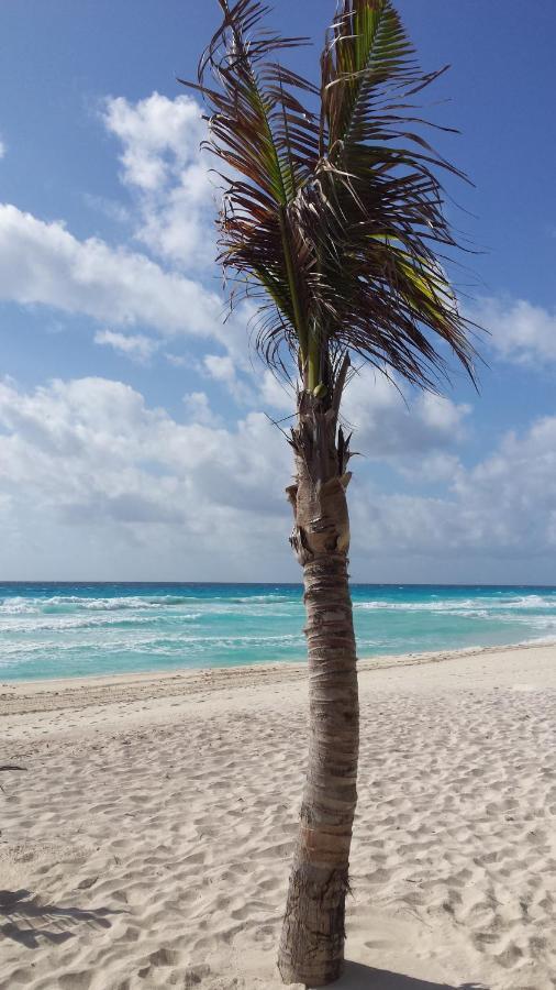 1 Bedroom Seaview Condo In Ocean Dream Resort Cancún Zewnętrze zdjęcie